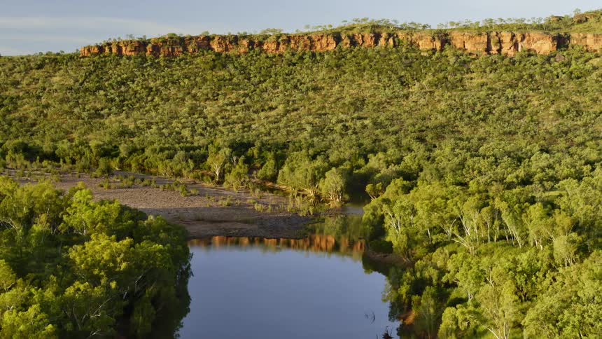 An aerial view of a forest next to a river is displayed