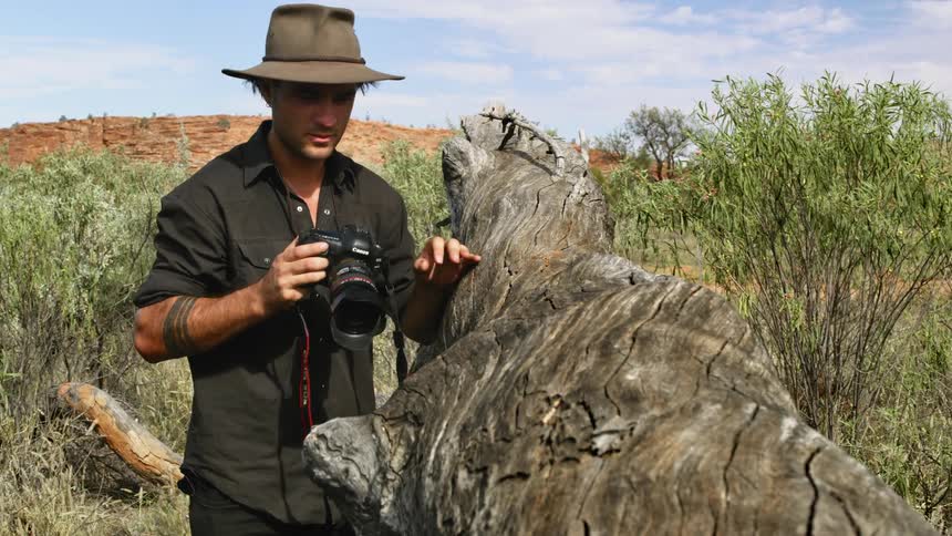 A man is photographing a fallen tree