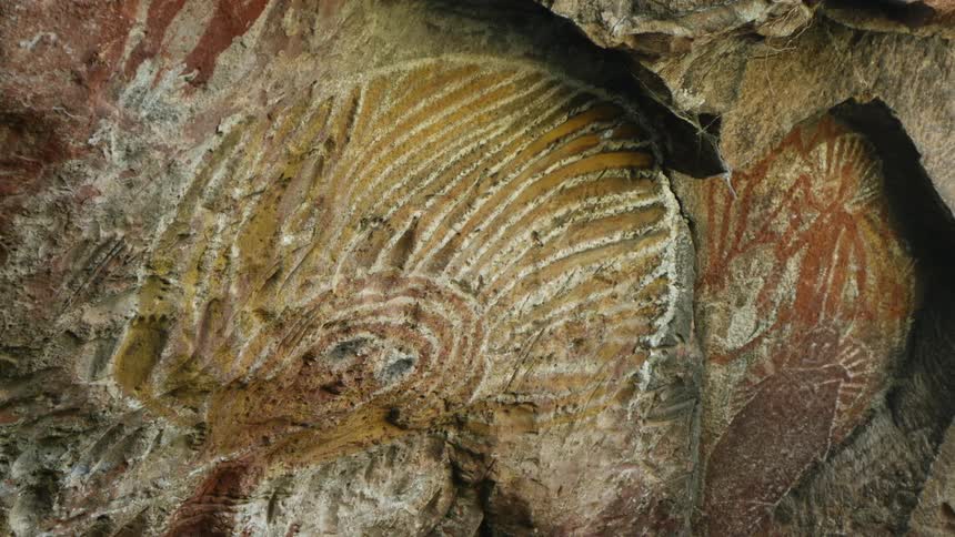 A cave wall with cave art