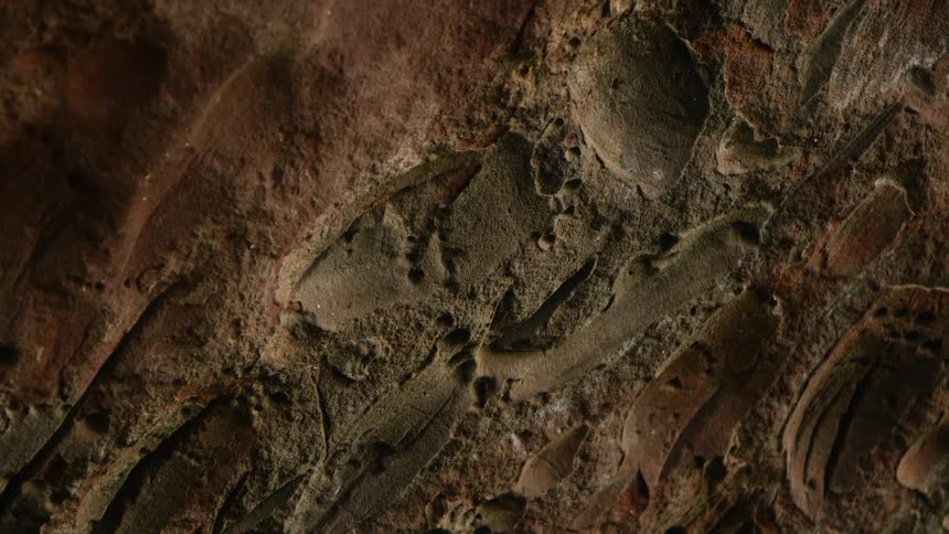 A textured rock surface