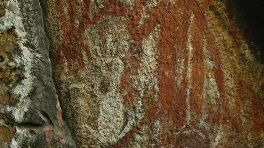 A cave wall with cave art