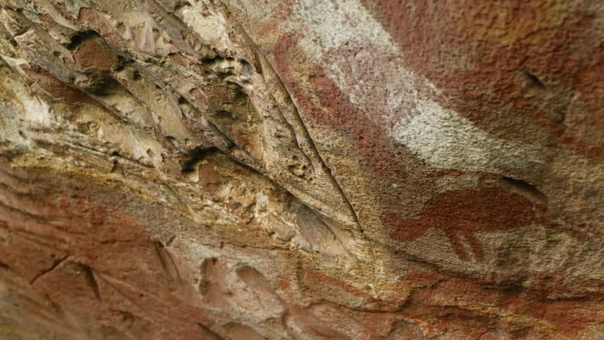 A cave wall with cave art