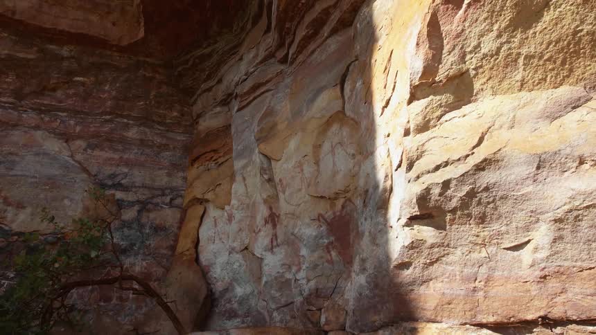 The wall of a canyon with vegetation