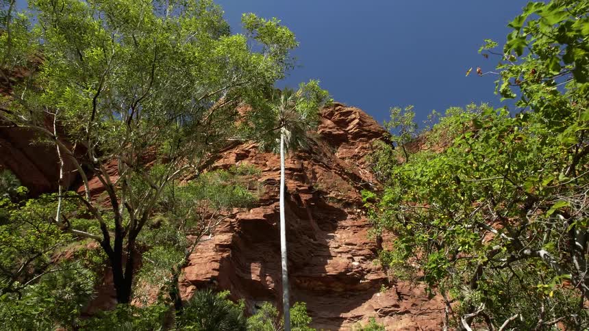 Side of a steep rock cliff in the forest in the wilderness