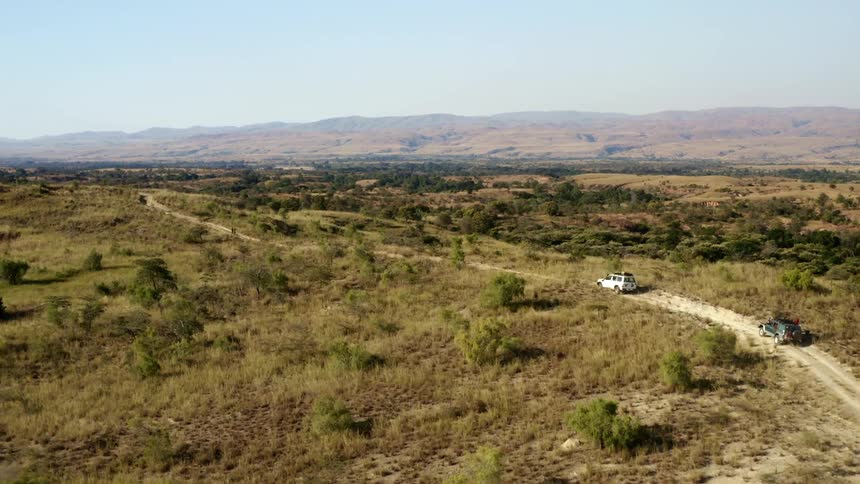 An aerial view of cars driving on a dirt road in the wilderness