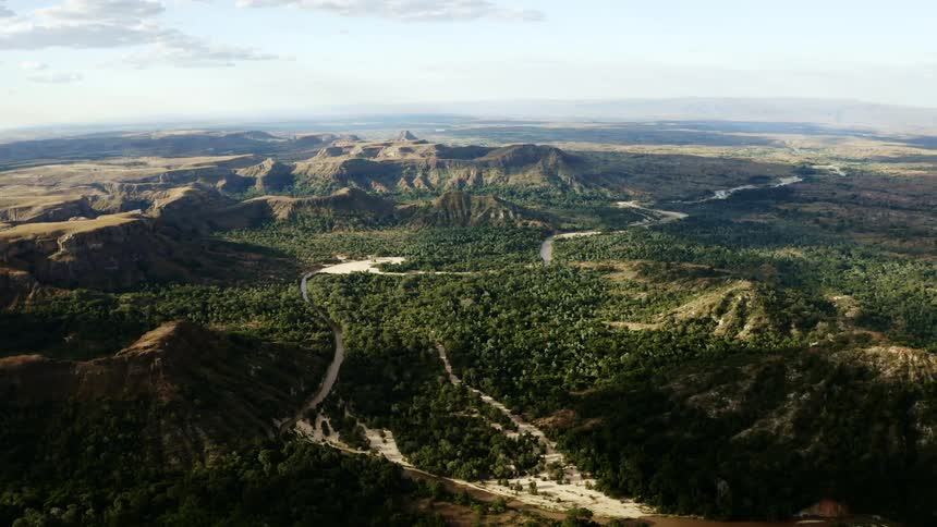 An aerial view of a mountain forest in the daytime