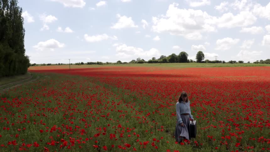 A woman carrying a suitcase walks across a field of flowers