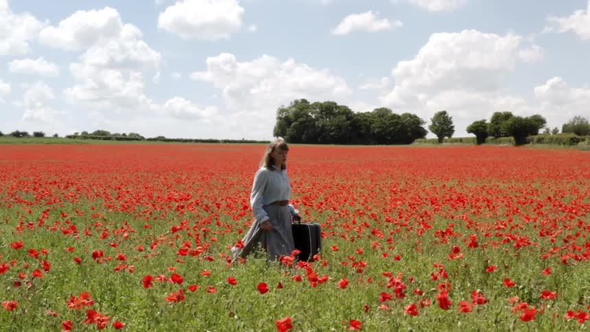A woman is walking through a flower meadow