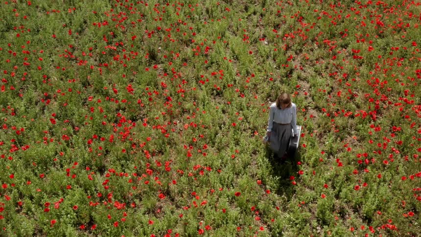 Woman carries a suitcase as she walks through a field of flowers
