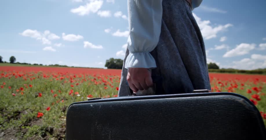 A woman carries a suitcase through a field of red blooming flowers on a sunny day