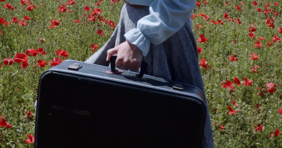 A woman is walking through a field of flowers