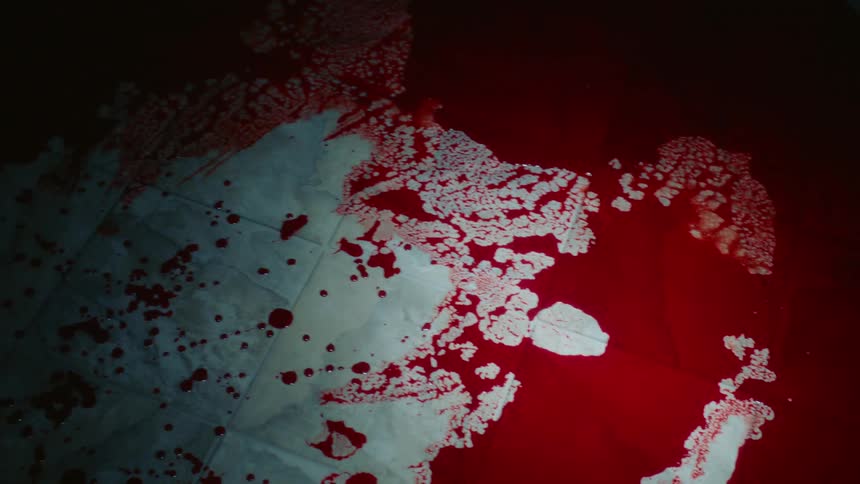 A tile floor is covered in an alarmingly large amount of blood that is spread about