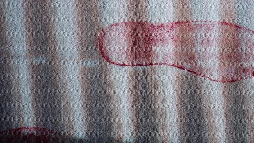 Bloody footprints are on the carpet