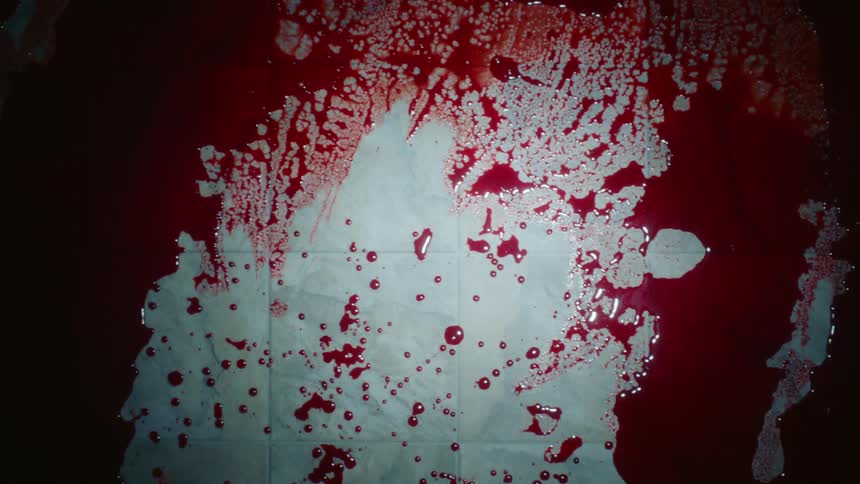 A large pool of blood on a floor inside