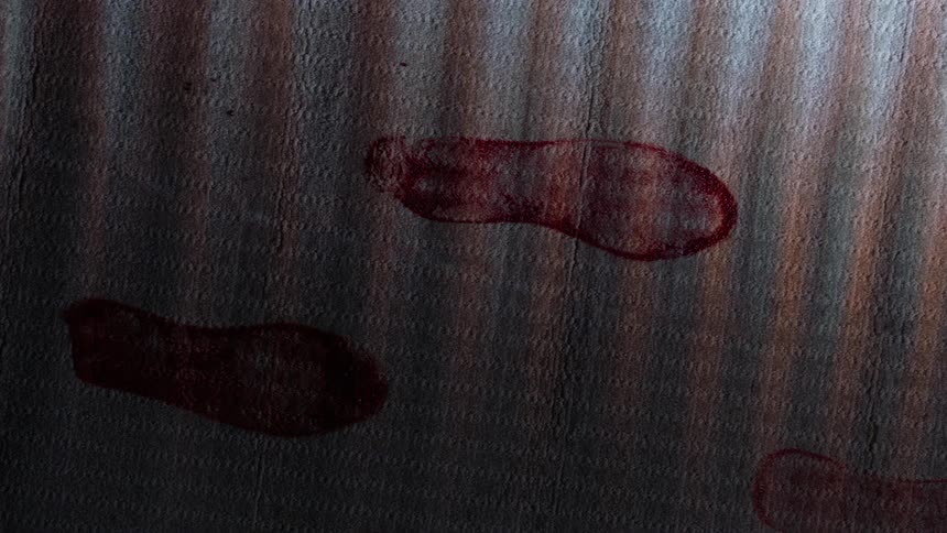 Bloody footprints on carpet in the dark