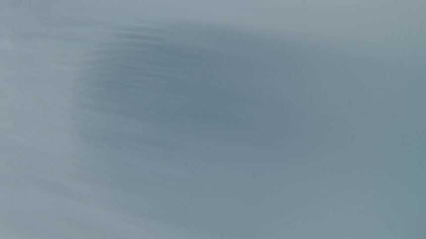 Two fingerprints on a white surface
