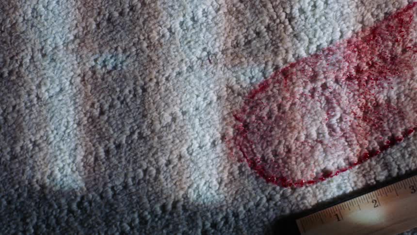 A ruler next to a bloody footprint on carpet