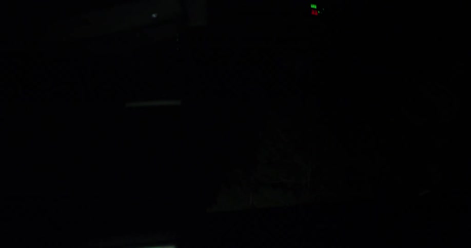 Headlights shine on trees in the woods