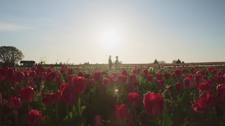 Two people standing in a field of flowers with the sky and clouds in the background