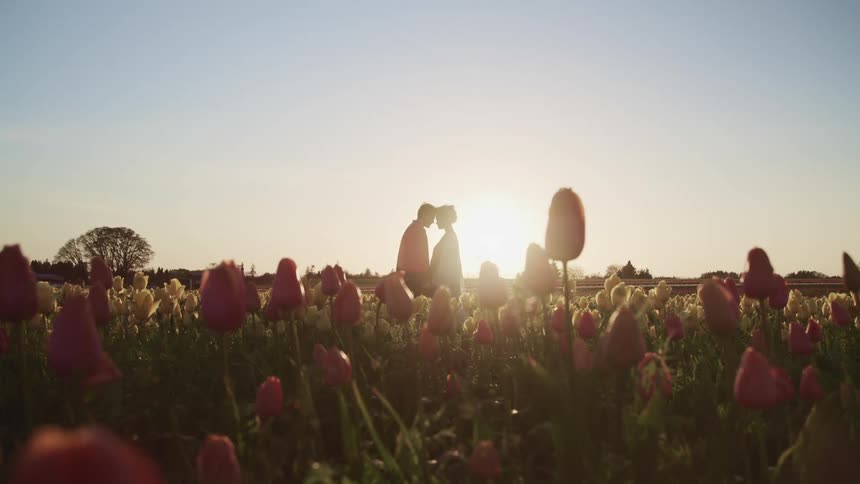 A man and woman lean in to each other and embrace standing in a large field of flowers