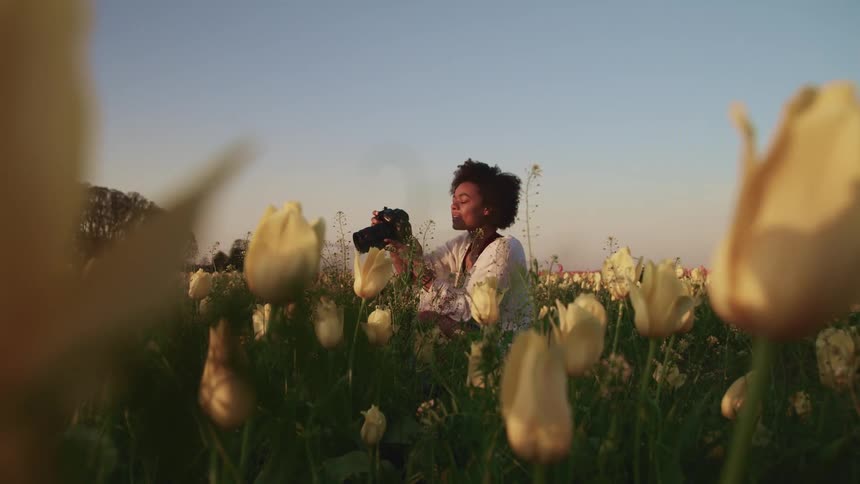 A woman takes pictures in a field of flowers