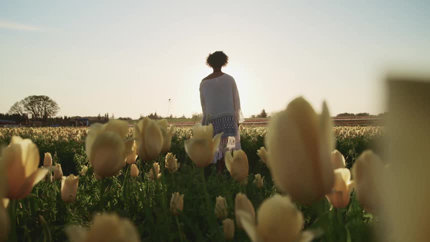 A woman stands still in a large field of flowers