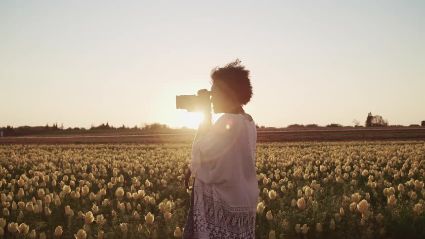 Woman takes pictures with a camera on a tulip field at sunset