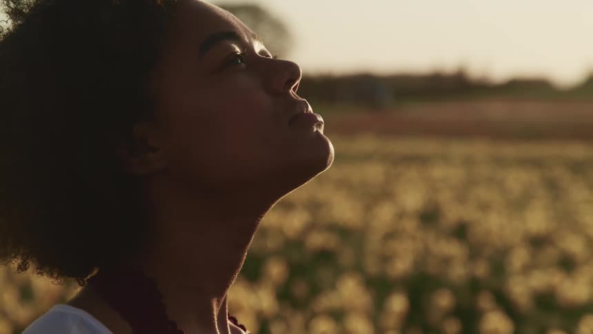 A woman is staring up at the sky in a field of flowers
