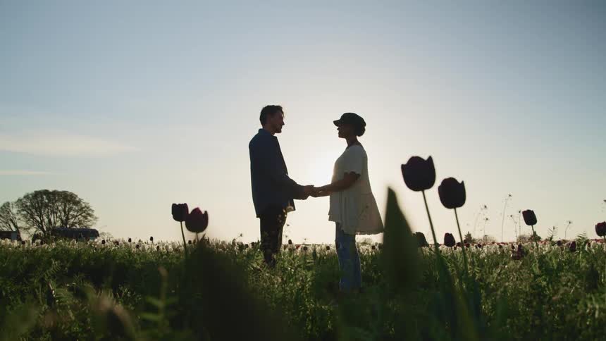 Young couple hold hands standing in a tulip field at sunset