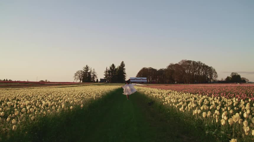 Black woman with curly hair and a white shawl walks happily and turns around in tulip fields at sunset