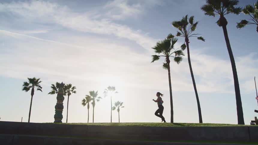 Woman jogs under palm trees over retaining wall