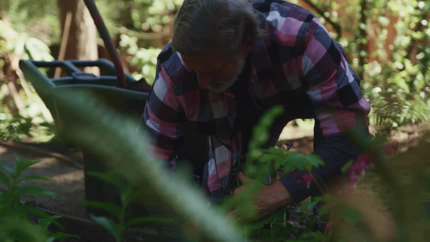 A man working in his garden