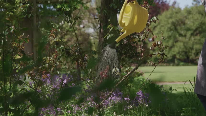 A woman watering flowers with a watering can