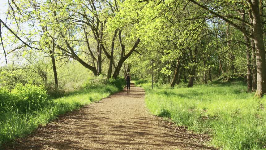 Woman jogs down dirt path past trees and overgrown grass