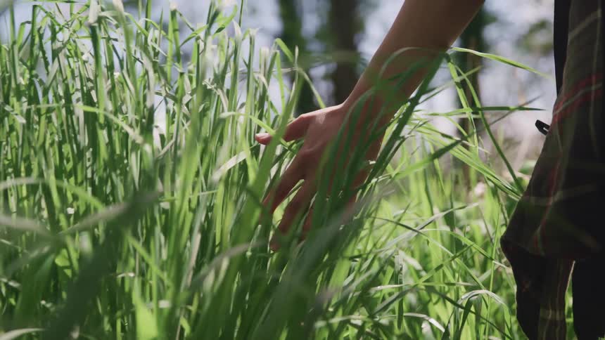 A woman is walking through a grassland area