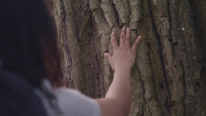 A woman runs her hand down a tree trunk