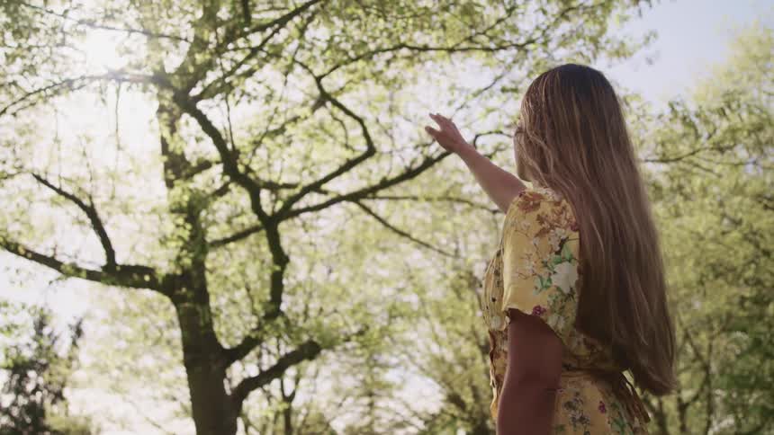 A woman is pointing up at the tree