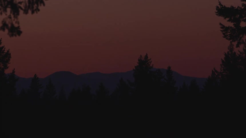A mountain and pine trees at sunset