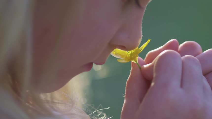 A little girl smelling a flower