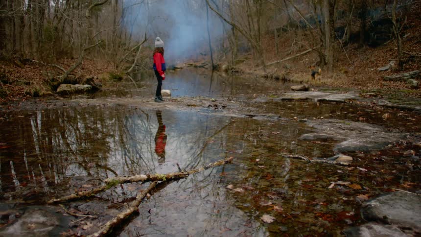 A young girl stands on a rocky area in a creek as her dog runs along the creek bed