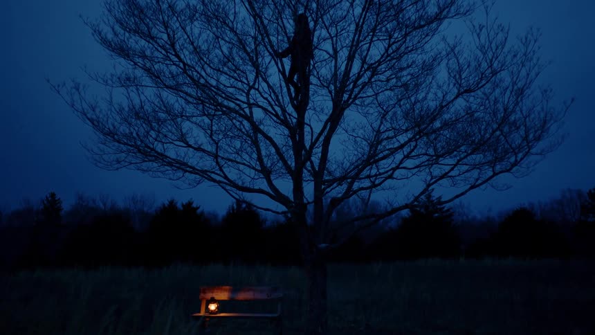 Oil lamp on a bench next to a tree in a grass field at night