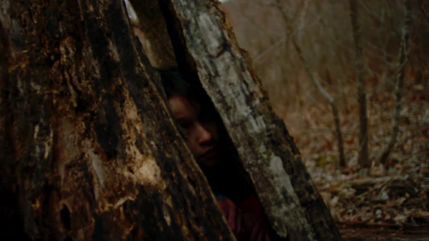 A child hiding in a tree in the forest