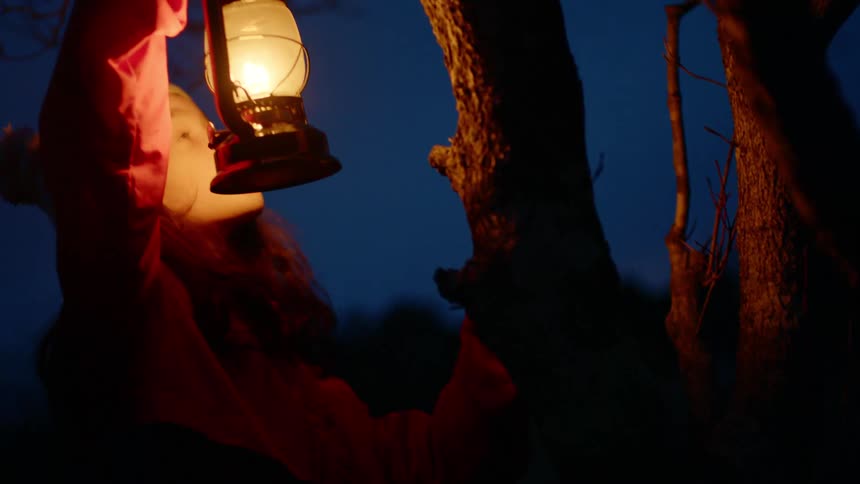 A young girl holds a lantern next to a tree and looks around it