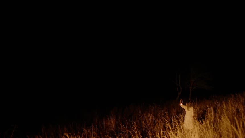 A woman raises a lantern as she stands amid tall grass on a hill under a pitch black sky at night
