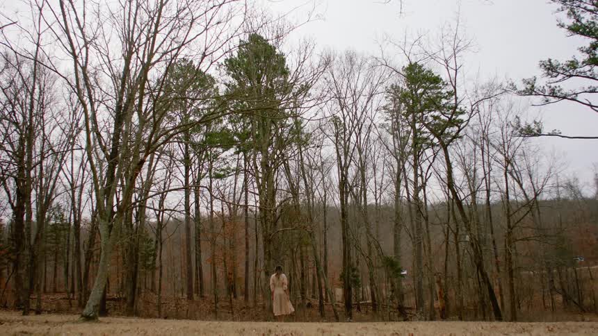 A woman standing and looking towards a forest