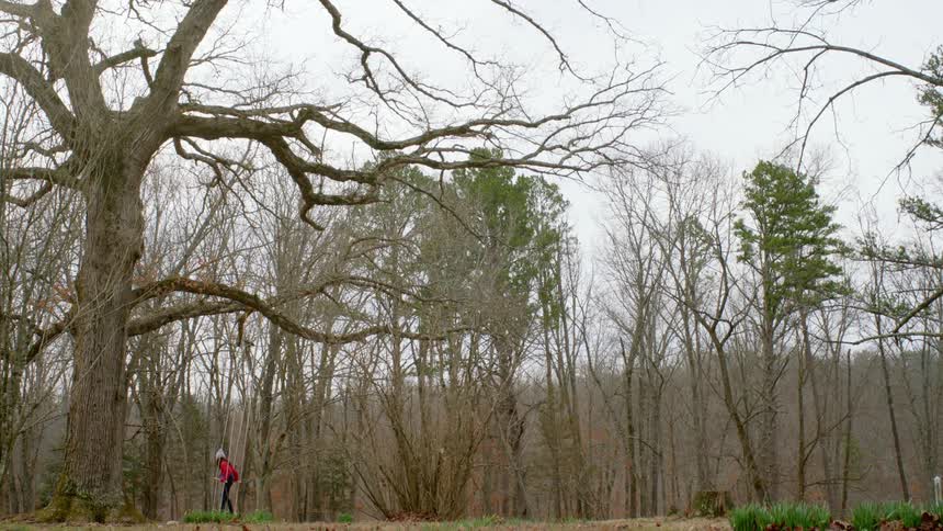 A girl in a red coat stands on a rope swing in a forest