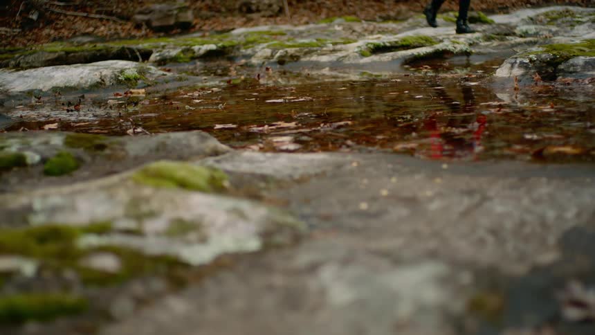 A person walks past a river