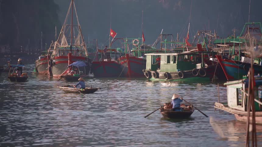 A lake with people paddling boats next to large boats on the shoreline
