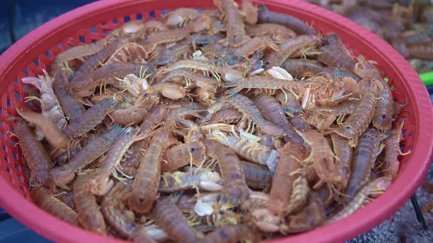 The bowl is full of centipedes