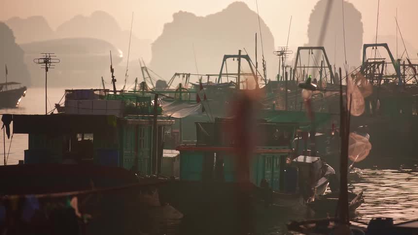 Boats on the water
